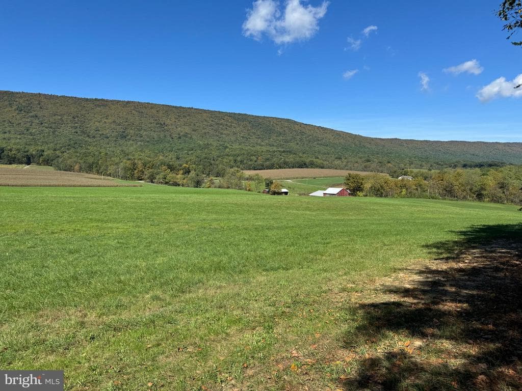 Property photo #10 for 119+/- Acres Backbone Rd, Entriken, PA 16638