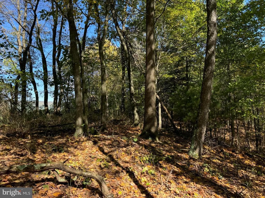 Property photo #19 for 119+/- Acres Backbone Rd, Entriken, PA 16638