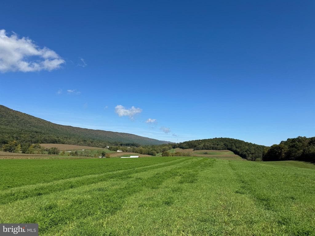 Property photo #29 for 119+/- Acres Backbone Rd, Entriken, PA 16638