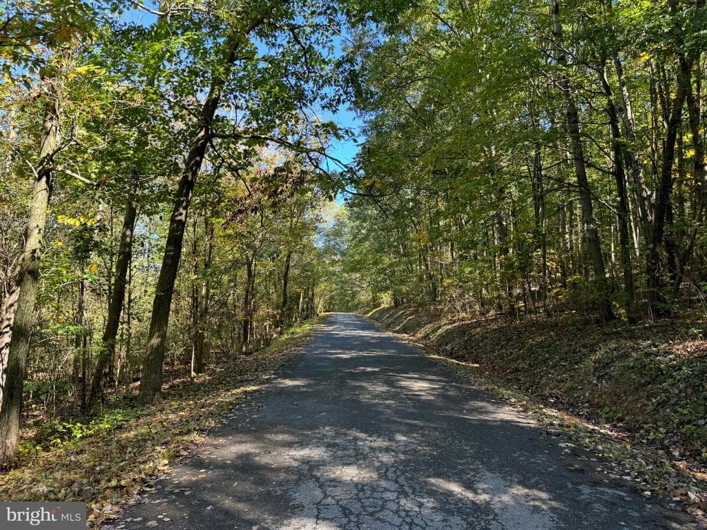 Property photo #43 for 119+/- Acres Backbone Rd, Entriken, PA 16638