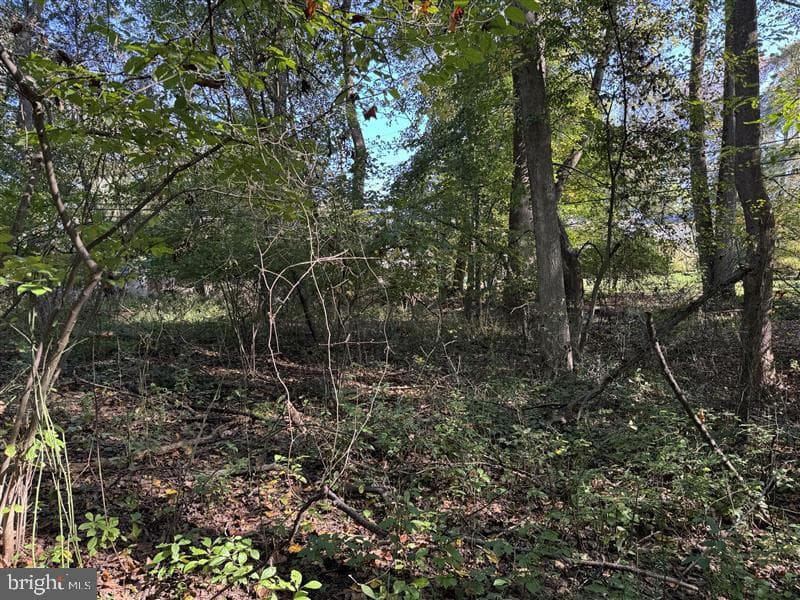 Property photo #22 for 1.42+/- Acres off Allview Dr, Columbia, MD 21046